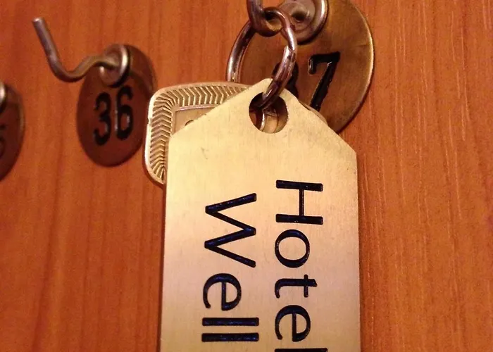 מלון Well Garni 3*